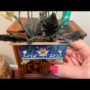 Beautiful Jay tree in a closer na pot with little legs